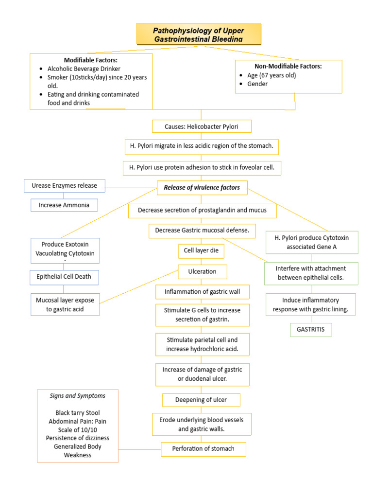 Pathophysiology of Upper GI Bleeding | PDF | Medical Specialties ...