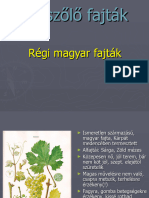 Borszőlő Fajták Magyar