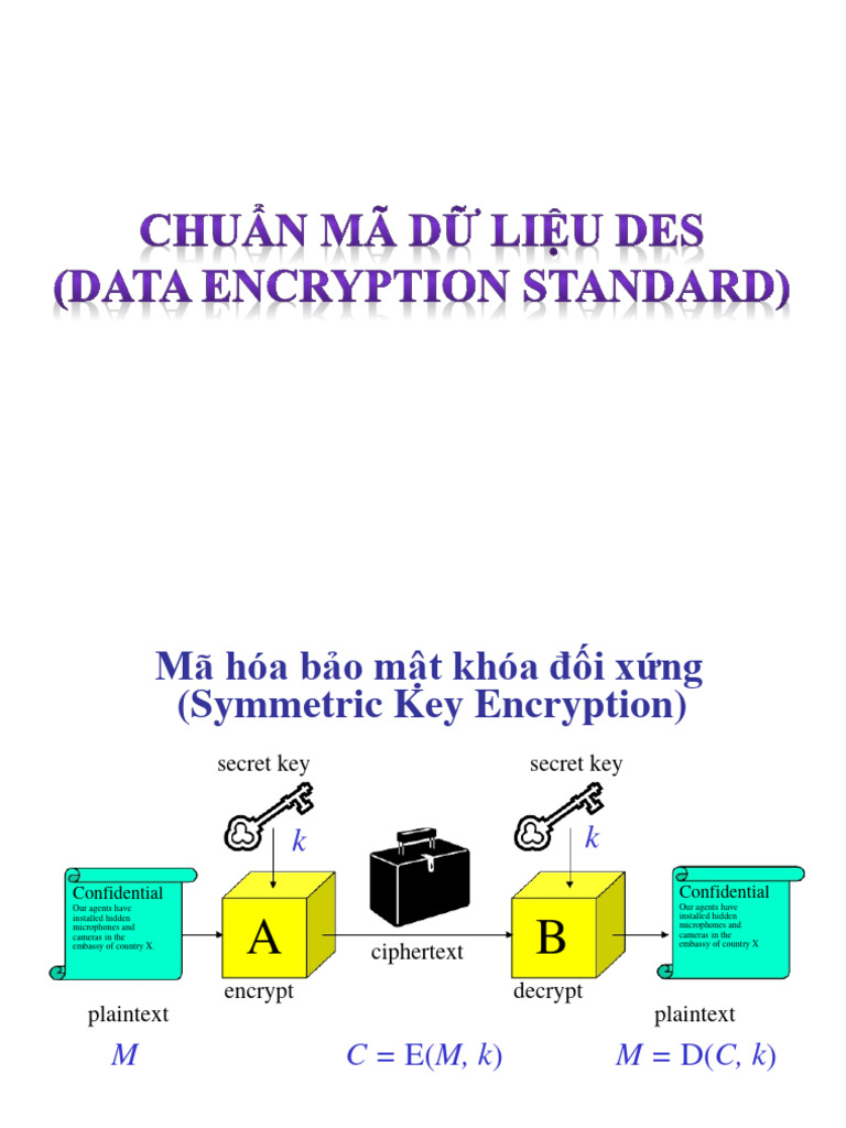 Slide C2 C3 | PDF