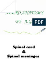Anatomy Slides by Dr. JALAL (CNS 204)