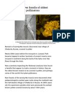 Scientists Discover Fossils of Oldest Known Potential Pollinator