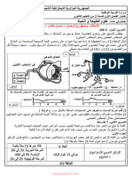 Dzexams 2as Sciences 967095