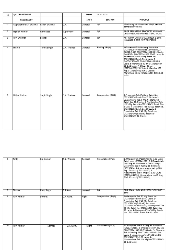 QA Daily Report Summary | PDF