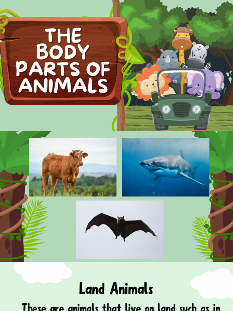 The Body Parts of Animals PDF