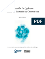 Detección de Quórum Cómo Las Bacterias Se Comunican Bonnie Bassler