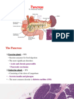 Pancreas