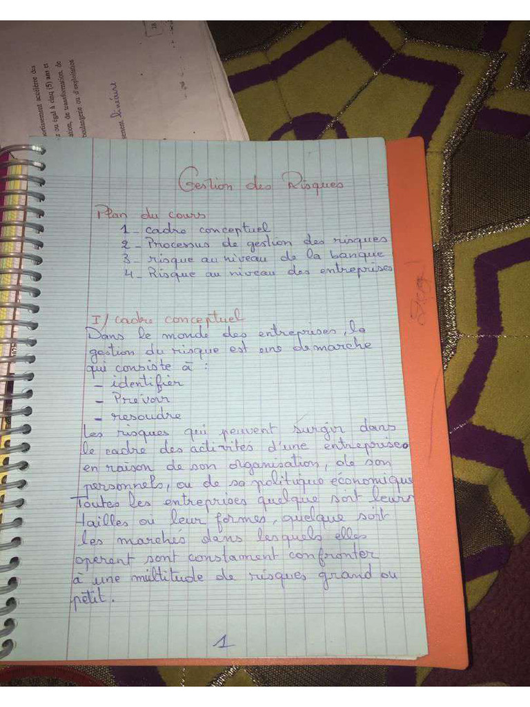 Gestion Des Risques | PDF