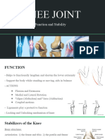 Knee Joint - Function and Stability