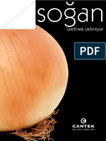 Sogan