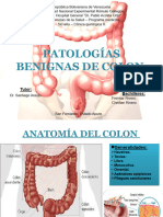 Enfermedad Benigna de Colon 2