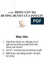 Insulin YHDP2019