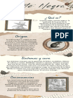 Brown Scrapbook Museum of History Infographic