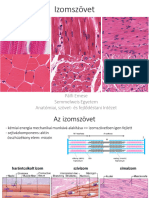 Izomszövet PE