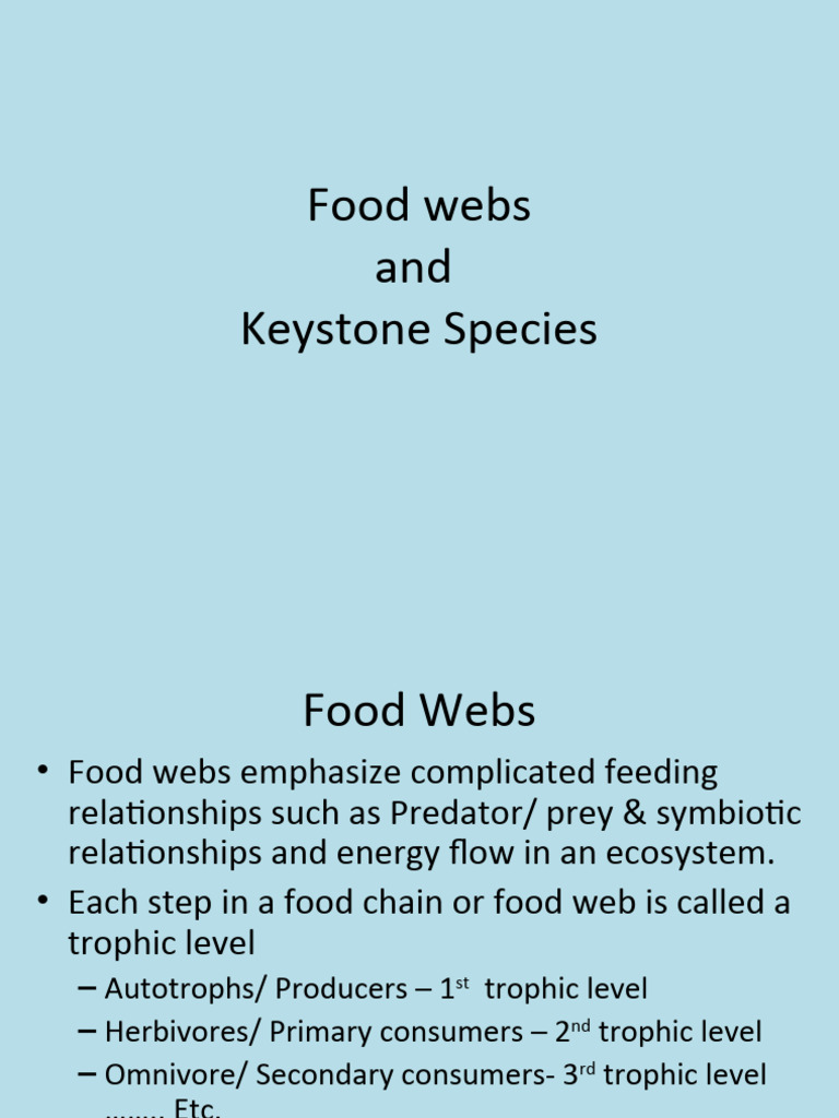 Food Webs and Keystone Species2020 | PDF