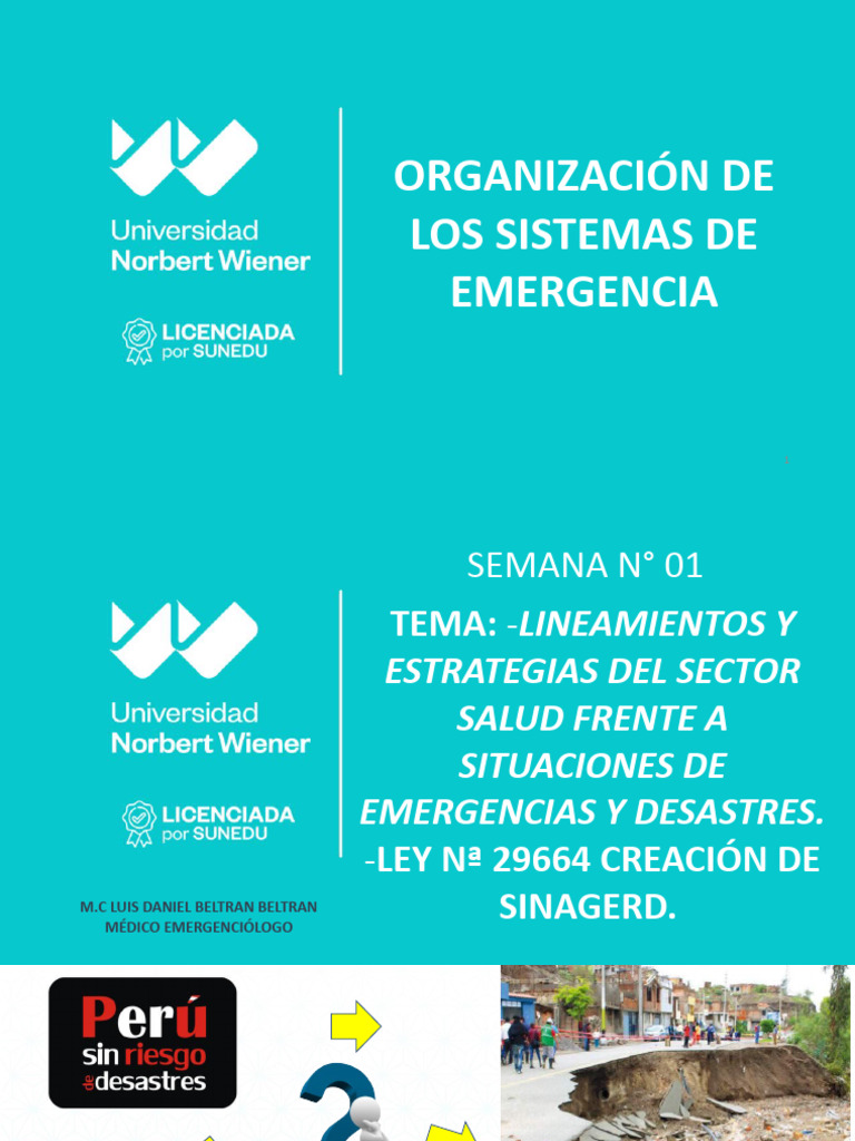 Lineamientos de Emergencias y Desastres | PDF | Riesgo | Reducción de ...