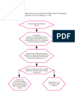 Fase Final Del Procedimiento de La Acción Constitucional de Amparo