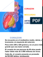 Sistema Cardiovascular