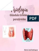 Fisiologia de Las Glandulas Tiroides y Paratiroides Maria Jose Rodriguez