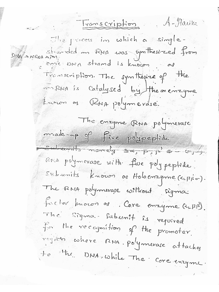 transcription PDF