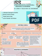 Trabajo - Historia Clínica y Registros de Enfermería - Sección I