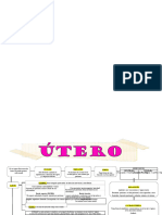 Utero Mapa Conceptua 369138 Downloadable 3121809