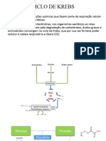 Ciclo de Krebs