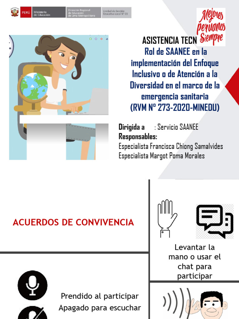 Rol del SAANEE en el Enfoque Inclusivo | PDF | Evaluación | Aprendizaje