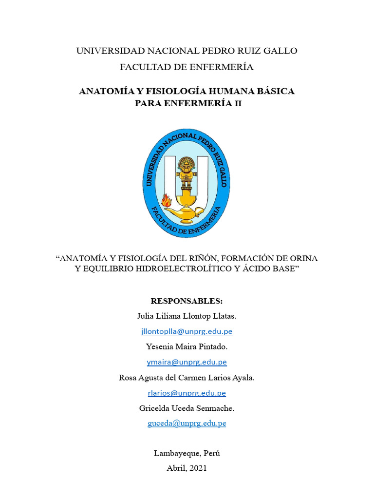 Anatomía y Fisiología Del Riñón, Formación de Orina, Equilibrio ...