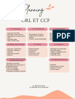 13 Planning Orl Et CCF