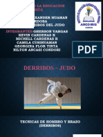 Exposicion Derribos Judo