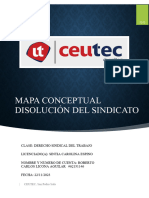 Mapa Conceptual Disolución Del Sindicato