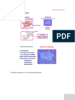 Pancreas Endocrino