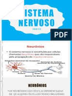 Aula 5 Sistema Nervoso Parte 2 - Configurada
