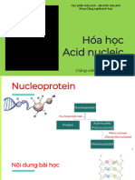Hoa Hoc Acid Nucleic.k76