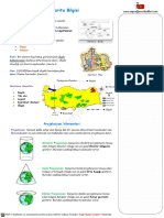 12 Cografya 9 Sinif Projeksiyon Yontemleri 1 Unite PDF Ders Notlari Indir