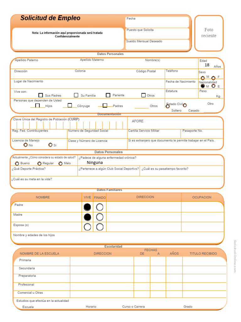 Solicitud de Empleo Bonita Editable PC | PDF