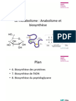 3 Métabolisme  partie 2_230503_135245910