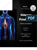 Sistema Circulatorio