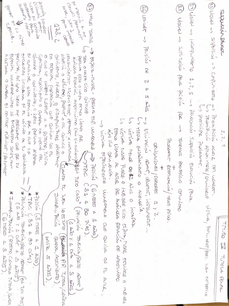 esquema-viogen-pdf