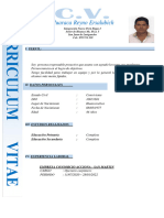 1curriculum Vitae Huaraca Reyno Ersalubich