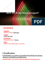 How Are Living Things Grouped
