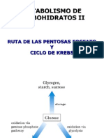 Clase007_Pentosas y Ciclo de Krebs_Bioquímica I