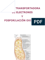 Fosforilacion