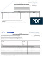 Formatos - Directiva 2023