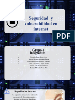 Seguridad y Vulnerabilidad en Internet