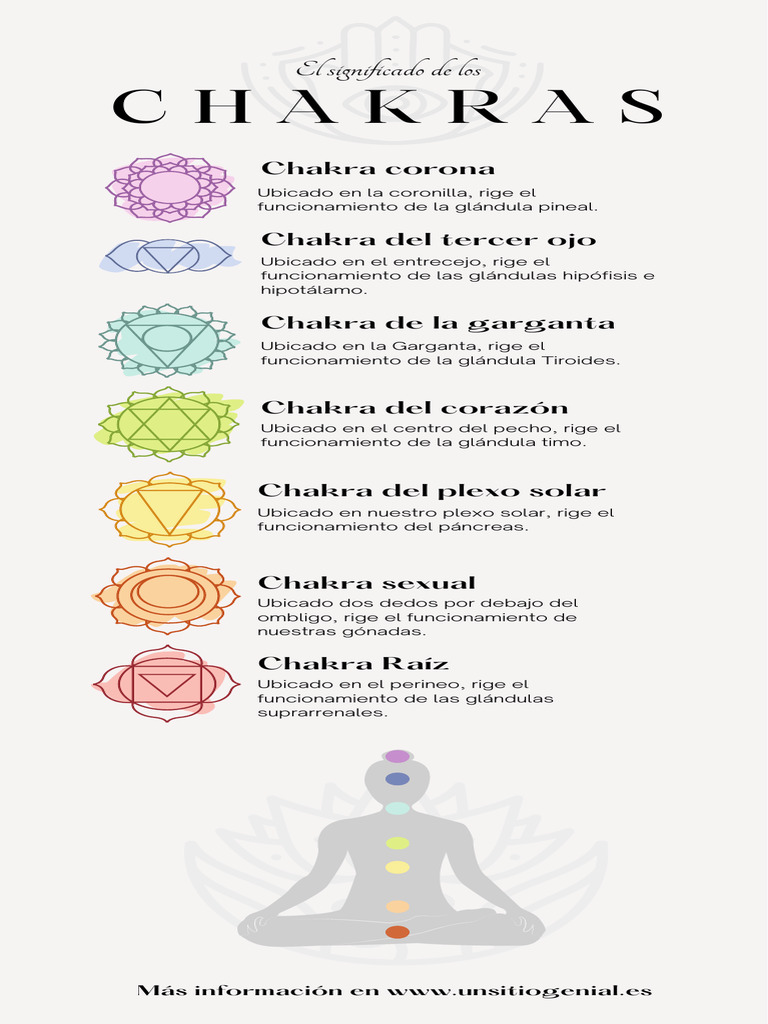 Guía de Chakras y sus Funciones | PDF