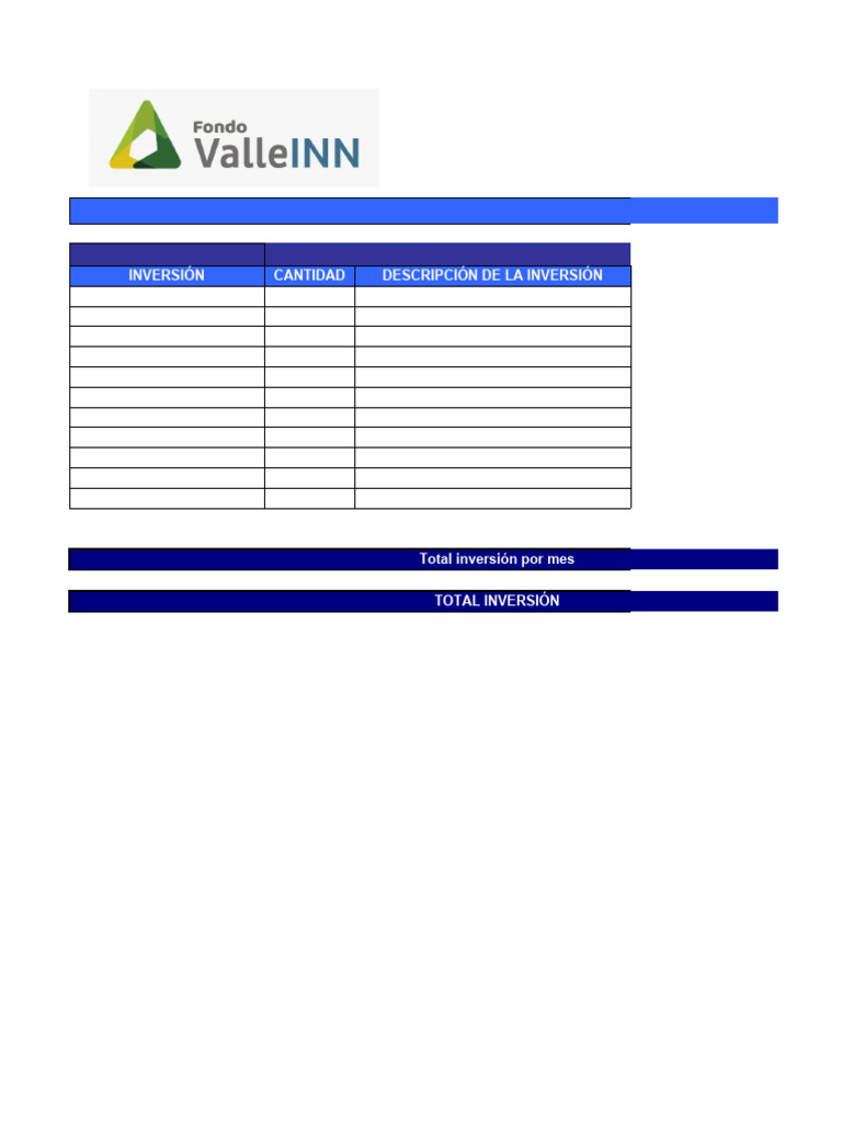 Formato Plan de Inversion - 45 MM | PDF