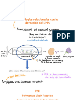 Clase 4 Técnicas Biología Molecular PCR