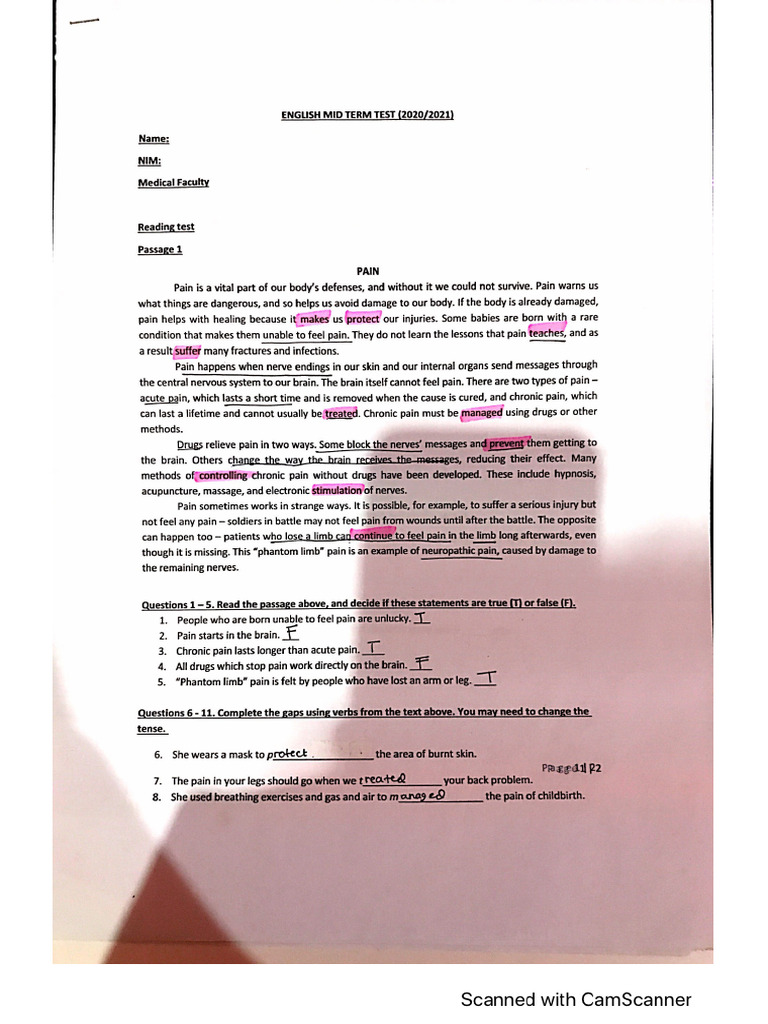 UTS English 2021 | PDF