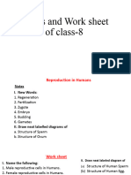 Notes and Work Sheet of Class-8